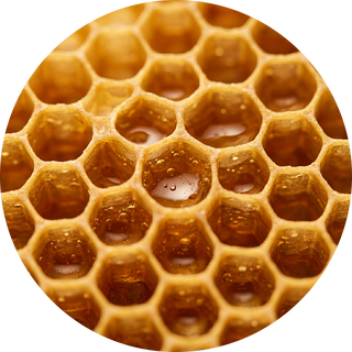 Organic Beeswax