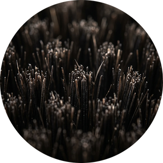 Boar Hair Bristles