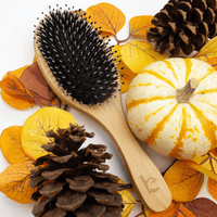 Wooden hairbrush with black bristles on a white background with pumpkins, pinecones, and leaves.