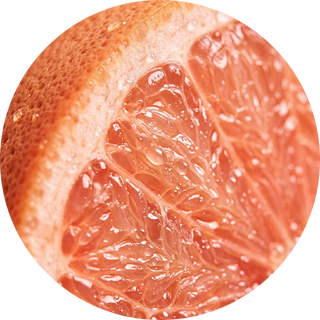 Apple Fruit Cell Culture