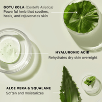ingredients of hyaluronic acid face cream