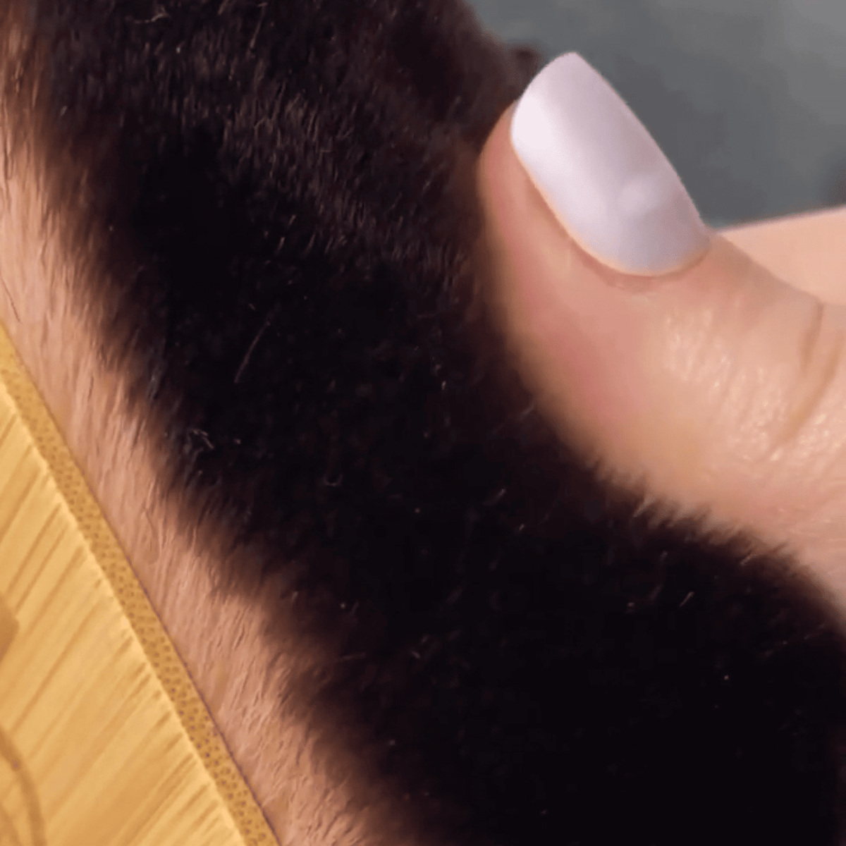 Close-up of a hand with a manicured nail touching dark fur.
