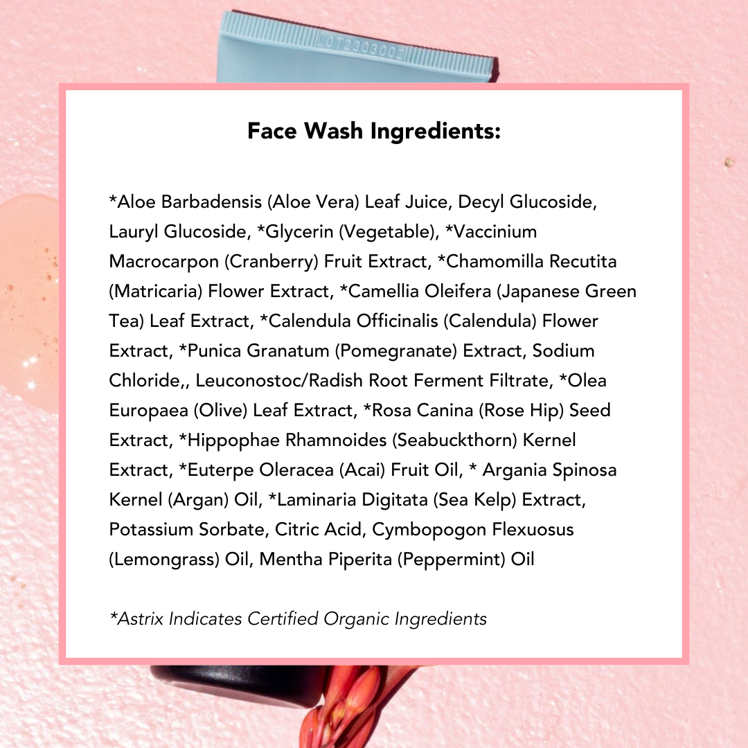 Nettoyant visage aux superfruits (format voyage)