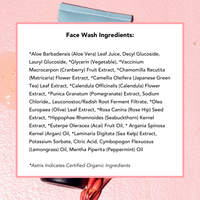 Nettoyant visage aux superfruits (format voyage)