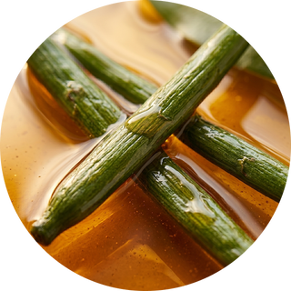 Vanilla Essential Oil