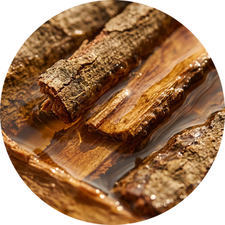 Willow Tree Bark Extract