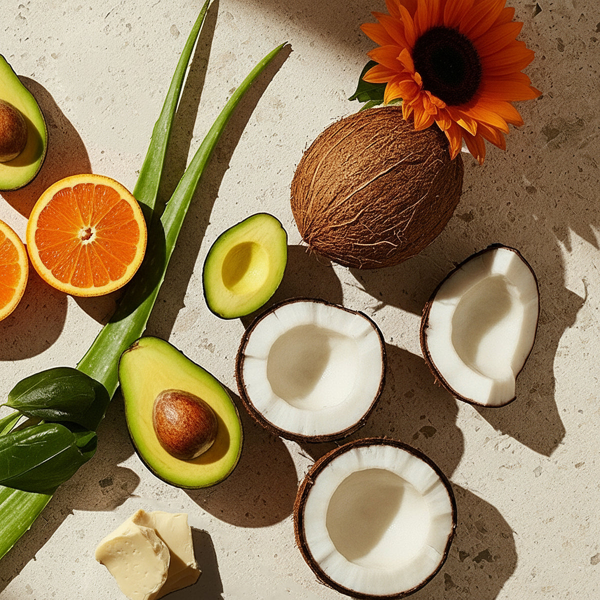 Fruits including coconuts, oranges, and avocados on a textured surface with a flower.